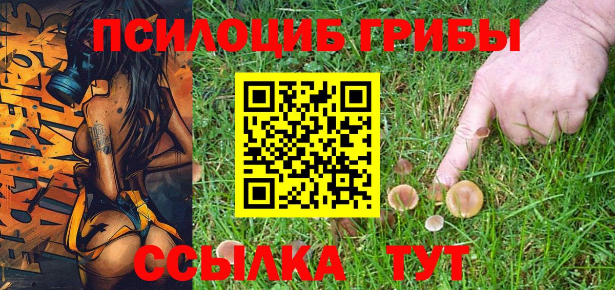 Псилоцибиновые грибы GOLDEN TEACHER Воткинск